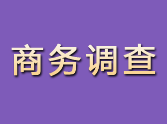 高阳商务调查