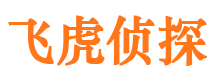 高阳找人公司